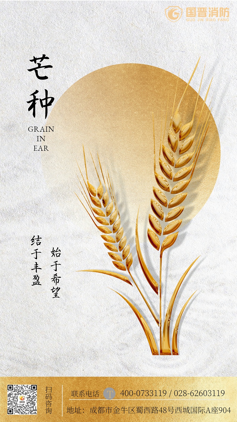 金融保險(xiǎn)芒種節(jié)氣祝福簡(jiǎn)約海報(bào)