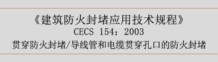 建筑防火封堵應(yīng)用技術(shù)規(guī)程-貫穿防火封堵、導(dǎo)線管和電纜貫穿孔口的防火封堵-700